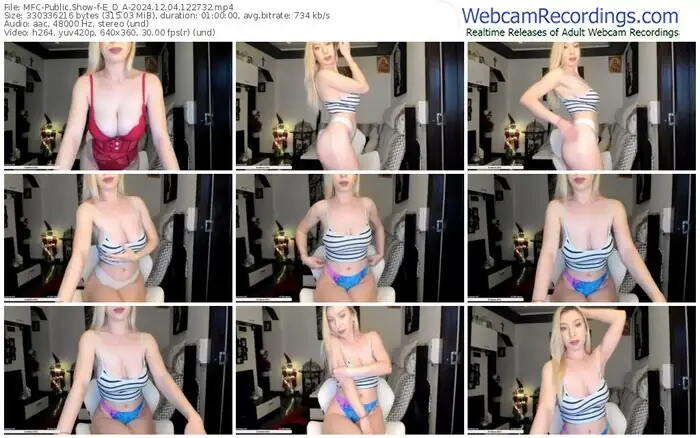 2024/12/04/mfc-e_d_a-12-27-32