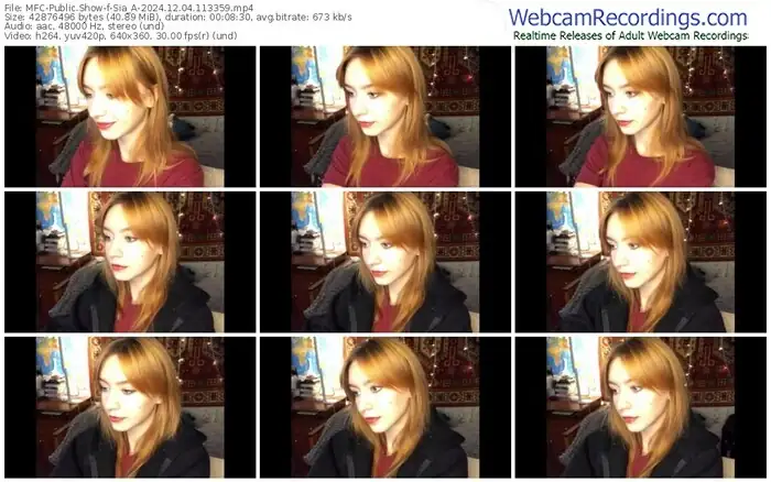 2024/12/04/mfc-sia_a-11-33-59