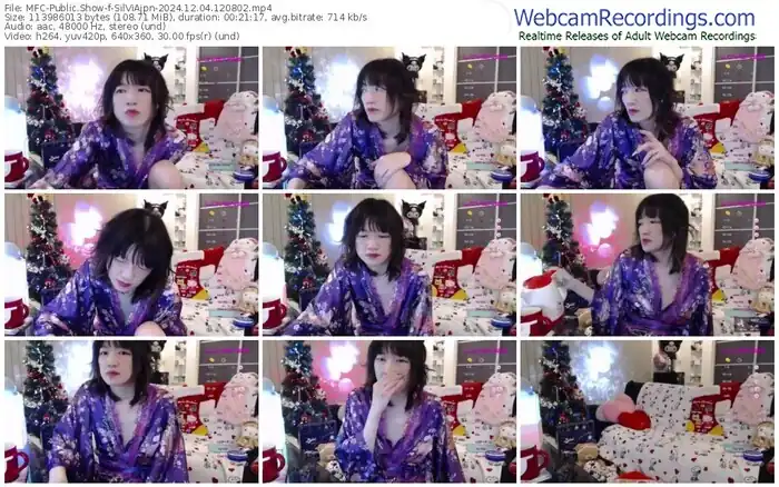 2024/12/04/mfc-silviajpn-12-08-02