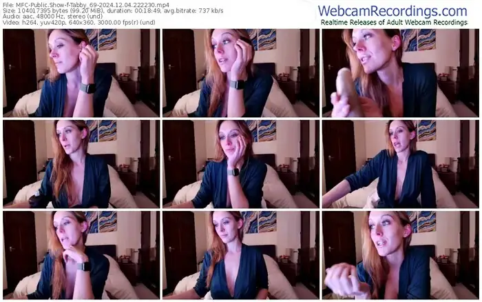 2024/12/04/mfc-tabby_69-22-22-30