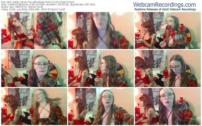 2024/12/05/mfc-kindfruitbat-03-32-12