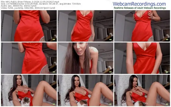 2024/12/05/mfc-meow_s-20-24-27