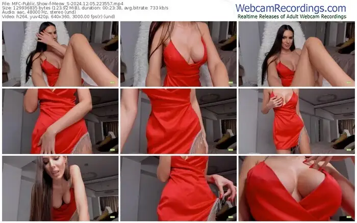 2024/12/05/mfc-meow_s-22-35-57