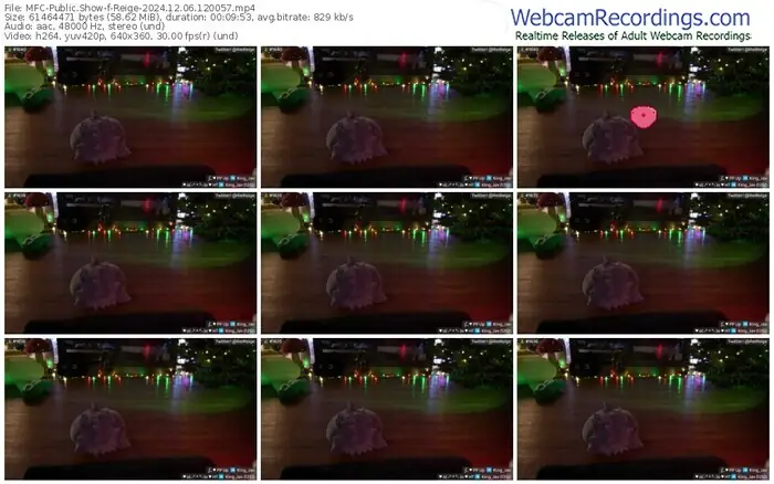 2024/12/06/mfc-reige-12-00-57