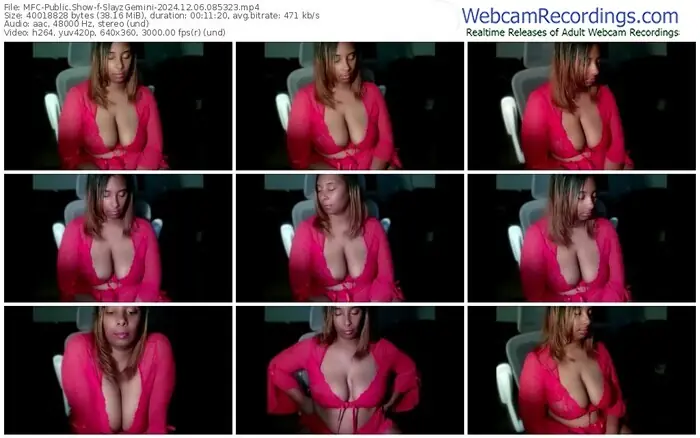 2024/12/06/mfc-slayzgemini-08-53-23