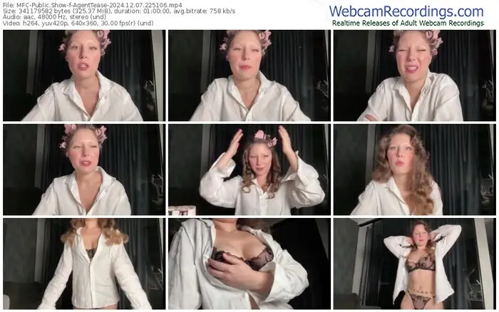 2024/12/07/mfc-agenttease-22-51-06