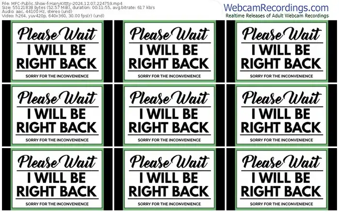 2024/12/07/mfc-hairykittty-22-47-59