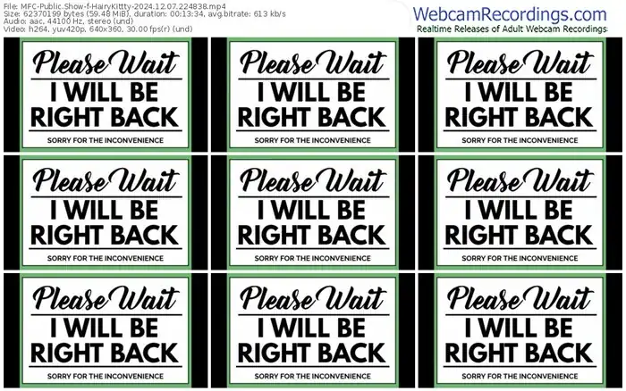 2024/12/07/mfc-hairykittty-22-48-38