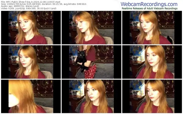 2024/12/08/mfc-sia_a-11-06-37