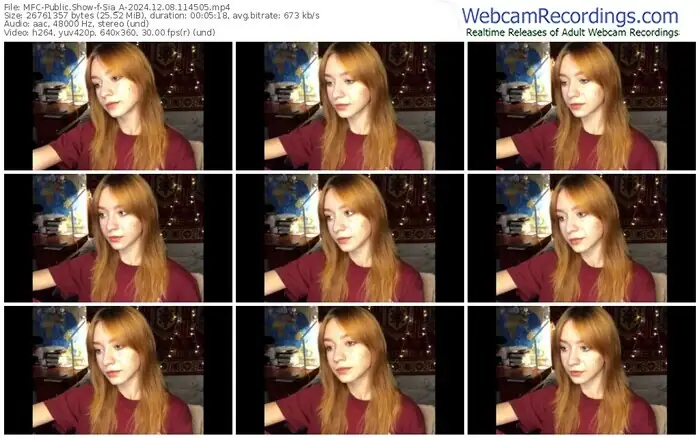 2024/12/08/mfc-sia_a-11-45-05