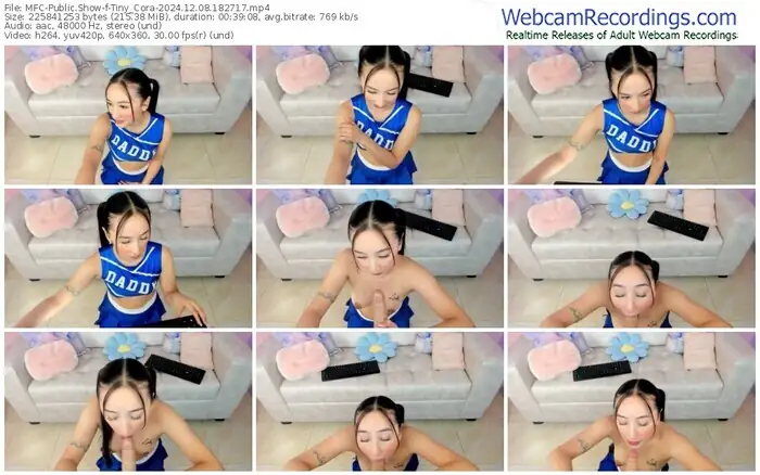 2024/12/08/mfc-tiny_cora-18-27-17