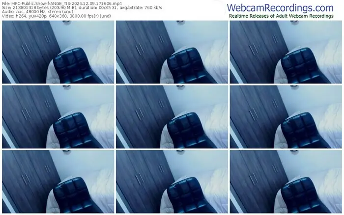 2024/12/09/mfc-ange_tis-17-16-06