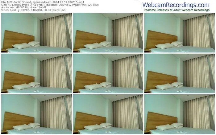 2024/12/09/mfc-japanesedream-02-00-15