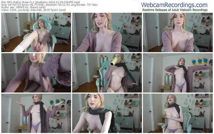 2024/12/09/mfc-lil_blueberry-02-44-55