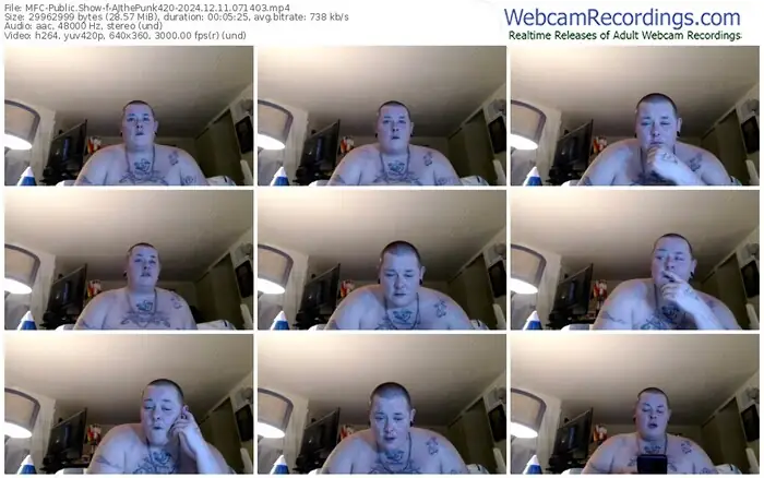 2024/12/11/mfc-ajthepunk420-07-14-03