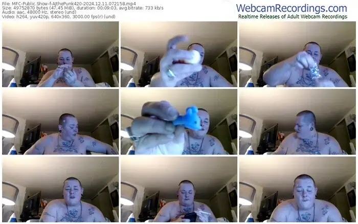 2024/12/11/mfc-ajthepunk420-07-21-58