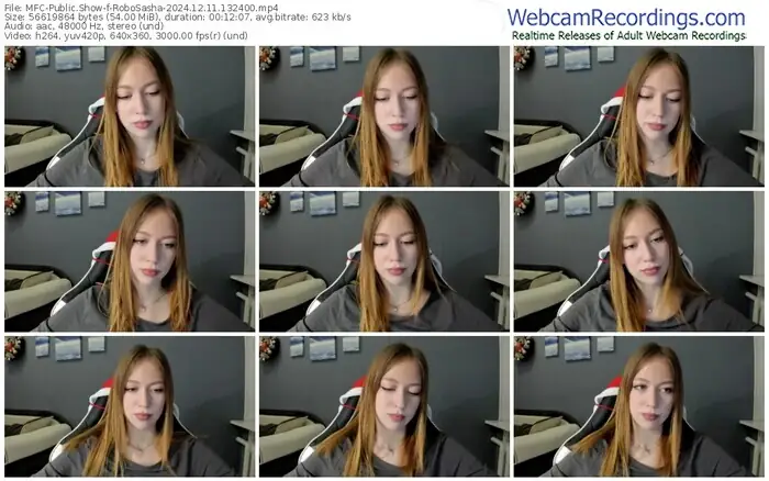 2024/12/11/mfc-robosasha-13-24-00