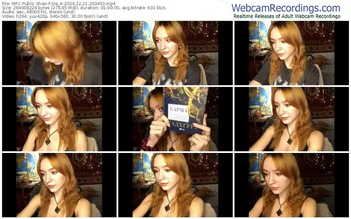 2024/12/11/mfc-sia_a-20-34-53