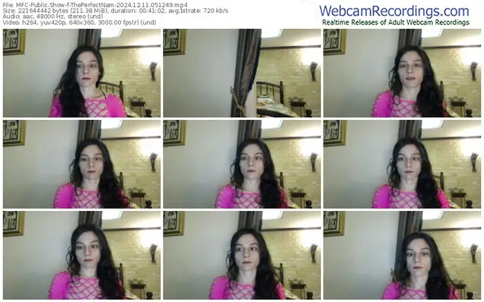 2024/12/11/mfc-theperfectnam-05-12-49