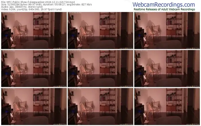 2024/12/11/mfc-sleepwanker-02-17-24