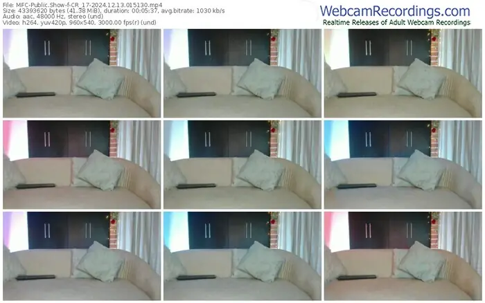 2024/12/13/mfc-cr_17-01-51-30