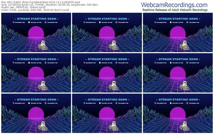 2024/12/13/mfc-goldenkittee-08-33-05