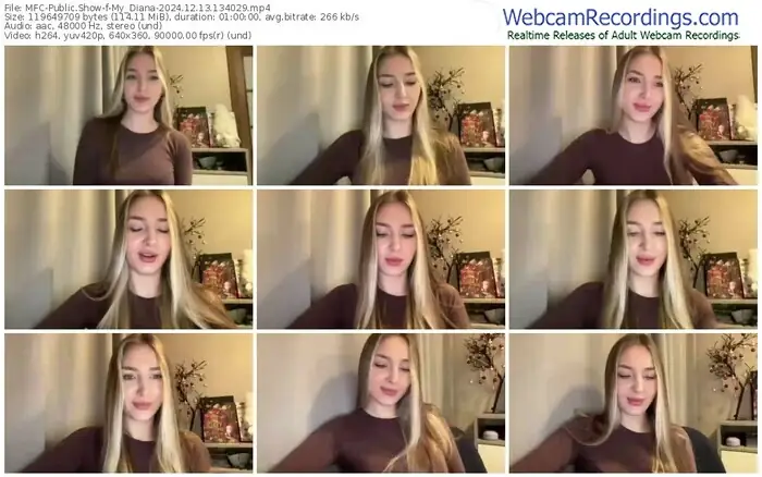 2024/12/13/mfc-my_diana-13-40-29