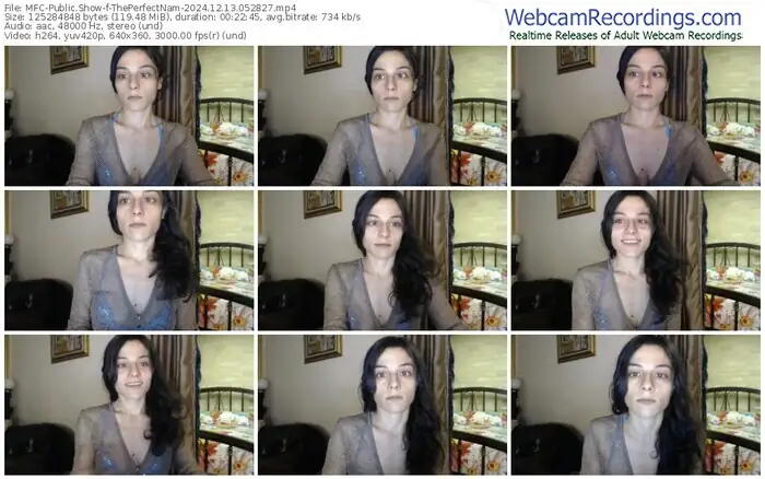 2024/12/13/mfc-theperfectnam-05-28-27