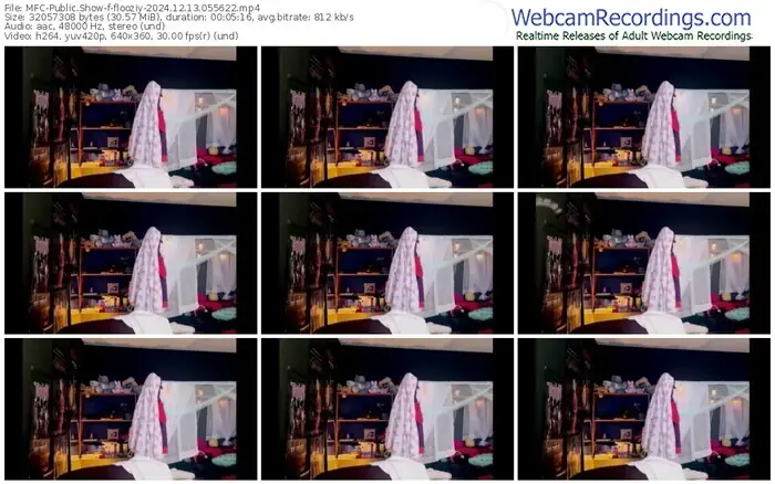 2024/12/13/mfc-flooziy-05-56-22