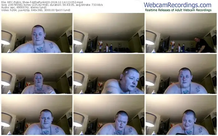 2024/12/14/mfc-ajthepunk420-11-10-52