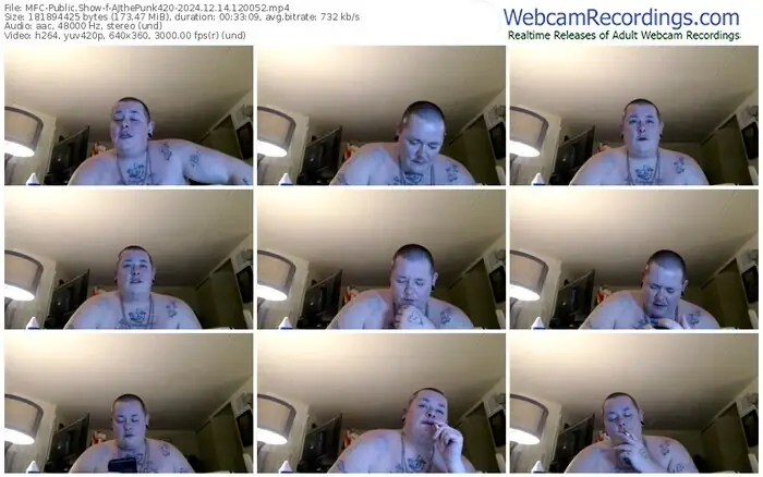 2024/12/14/mfc-ajthepunk420-12-00-52