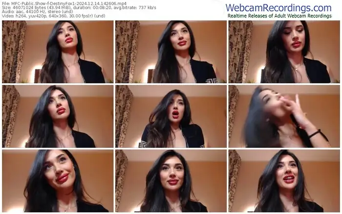 2024/12/14/mfc-destinyfox1-14-26-06