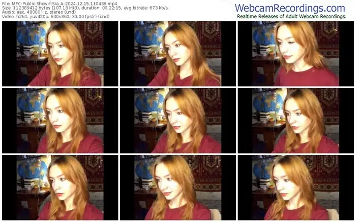 2024/12/15/mfc-sia_a-11-04-36