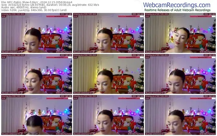 2024/12/15/mfc-skyv_-20-56-28