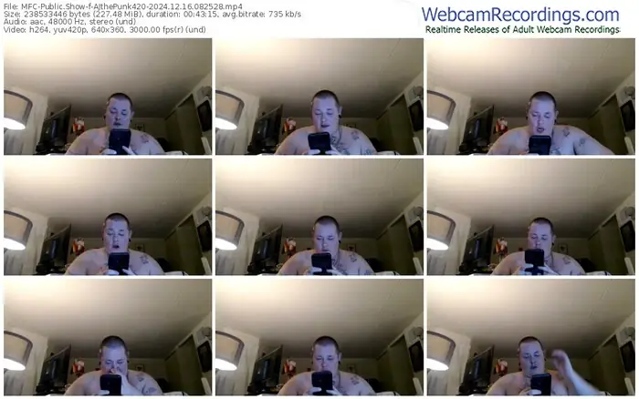 2024/12/16/mfc-ajthepunk420-08-25-28