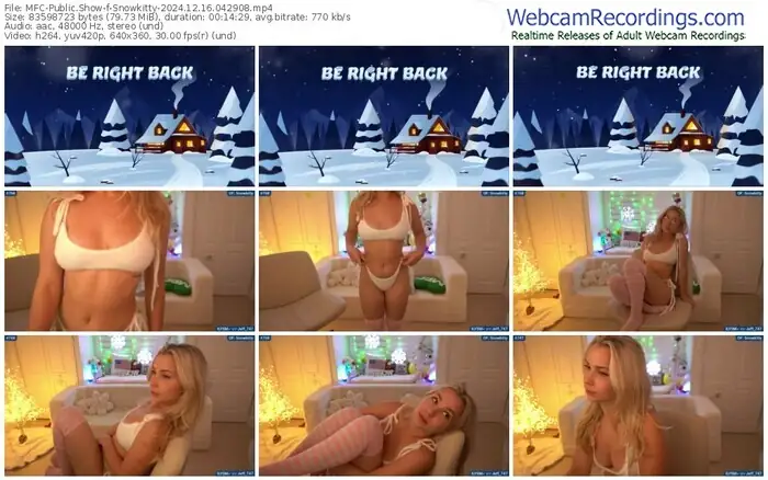 2024/12/16/mfc-snowkitty-04-29-08