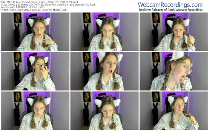 2024/12/17/mfc-sugar_plum_-01-36-03