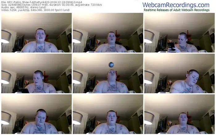 2024/12/18/mfc-ajthepunk420-09-08-10