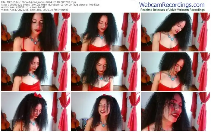 2024/12/18/mfc-adas_room-08-57-28