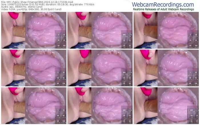 2024/12/18/mfc-danigirl866-17-33-39