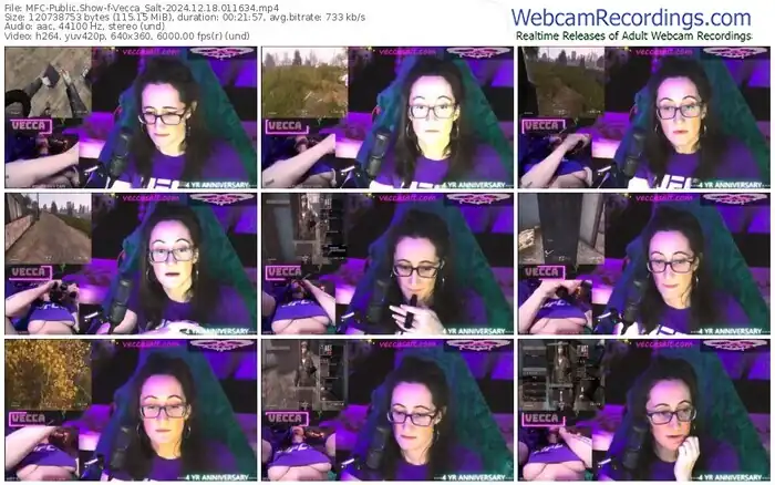 2024/12/18/mfc-vecca_salt-01-16-34