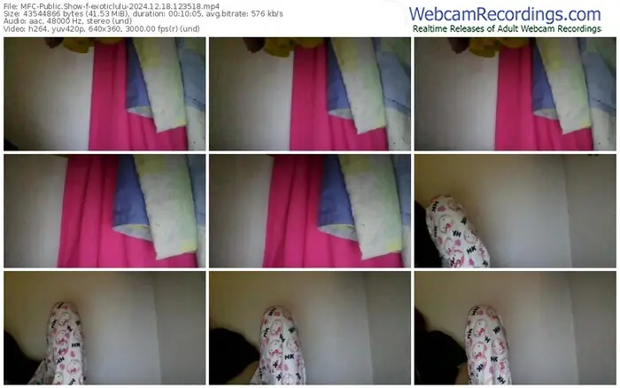 2024/12/18/mfc-exoticlulu-12-35-18