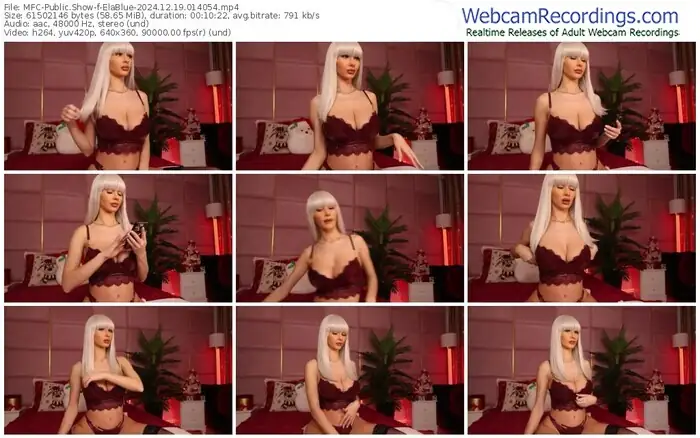 2024/12/19/mfc-elablue-01-40-54