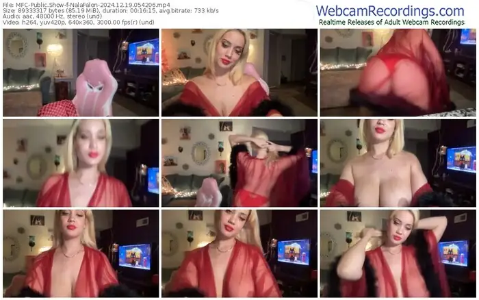 2024/12/19/mfc-nalafalon-05-42-06