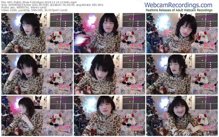2024/12/19/mfc-silviajpn-12-34-41