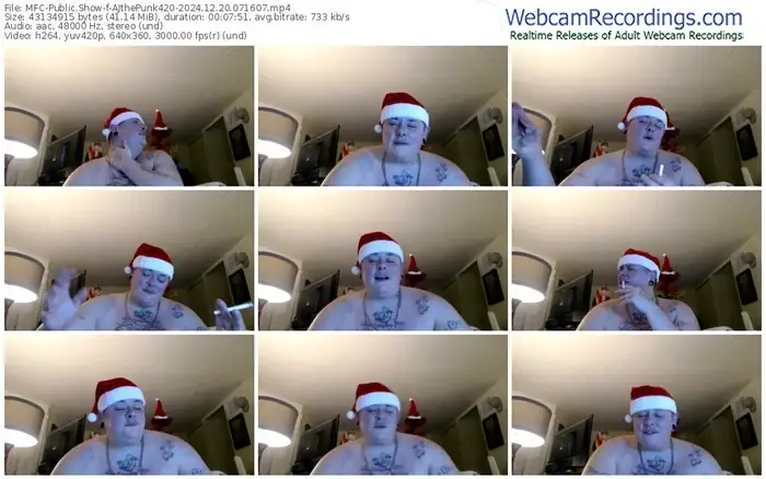 2024/12/20/mfc-ajthepunk420-07-16-07