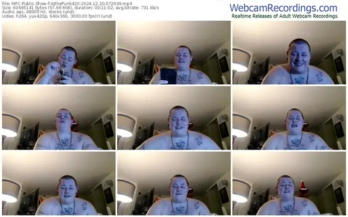 2024/12/20/mfc-ajthepunk420-07-26-39