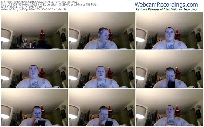 2024/12/20/mfc-ajthepunk420-07-49-00