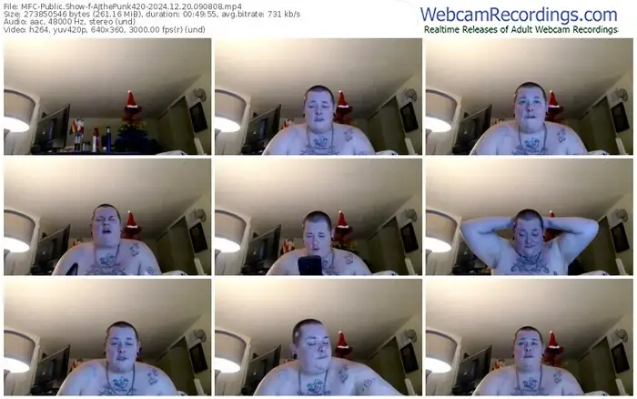 2024/12/20/mfc-ajthepunk420-09-08-08