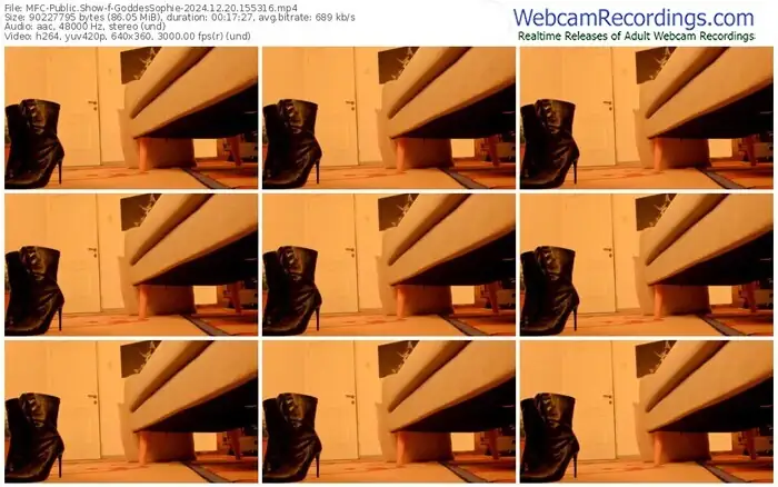 2024/12/20/mfc-goddessophie-15-53-16